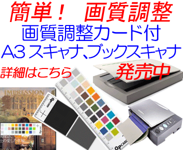 A3�X�L���i�A�u�b�N�X�L���i�掿�����J�[�h�t���f��